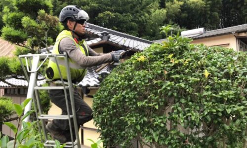 LINE_ALBUM_酒井邸　北区貢町_230618_39